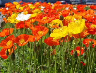 Similar image 1325455