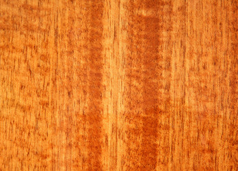 Similar image 1325530