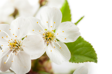 Similar image 1325561