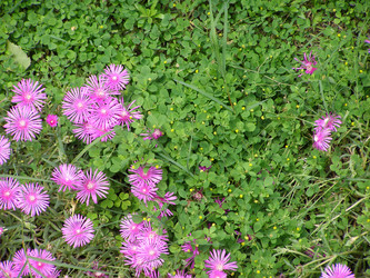 Similar image 1325595