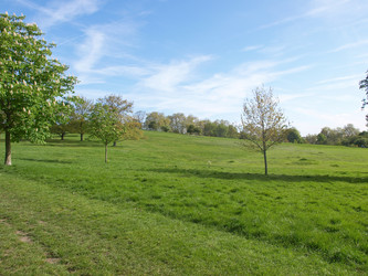 Similar image 1325665