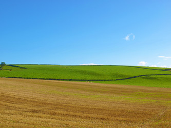 Similar image 1325704