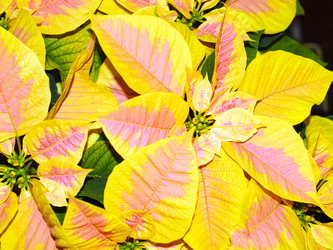 Similar image 1325762