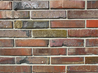 Similar image 1325769