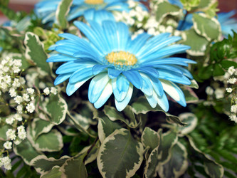 Similar image 1325770