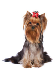 Similar image 1325812