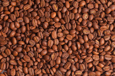 Similar image 1325814