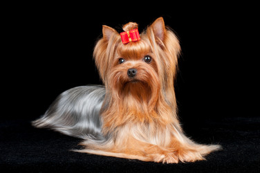 Similar image 1325815