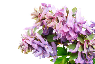 Similar image 1325833