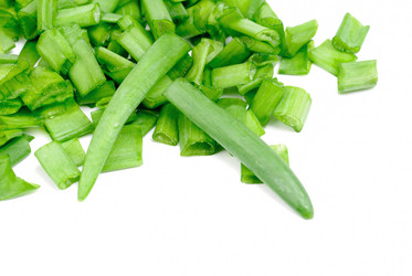 Similar image 1325835