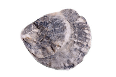 Similar image 1325841