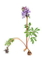 Similar image 1325872