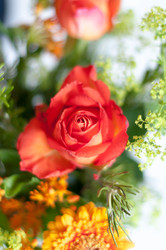 Similar image 1325882