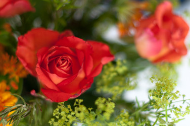 Similar image 1325883