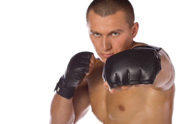 Similar image 1325929