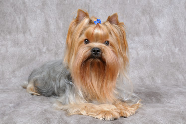 Similar image 1326051