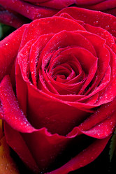 Similar image 1326198