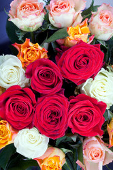 Similar image 1326199