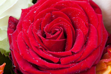 Similar image 1326202