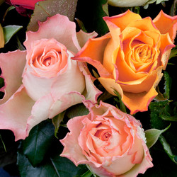 Similar image 1326203