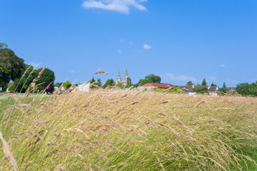 Similar image 1326214