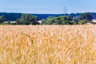 Similar image 1326221