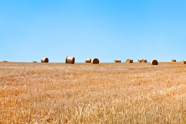 Similar image 1326268