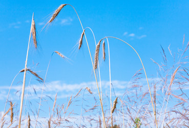 Similar image 1326273