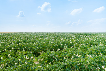 Similar image 1326281