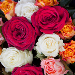 Similar image 1326303