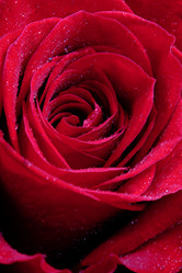 Similar image 1326313