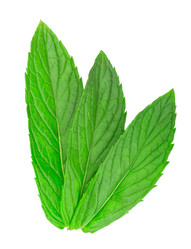 Similar image 1326332