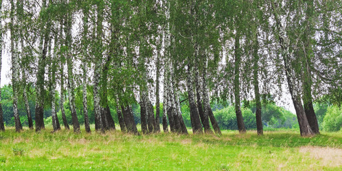 Similar image 1326334