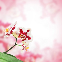 Similar image 1326335