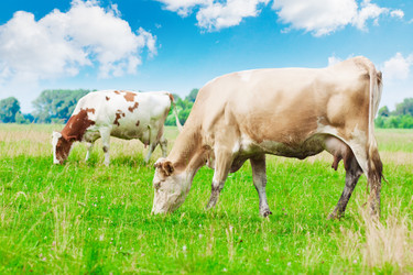 Similar image 1326336