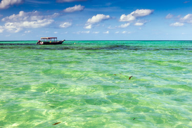 Similar image 1326366