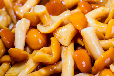 Similar image 1326496