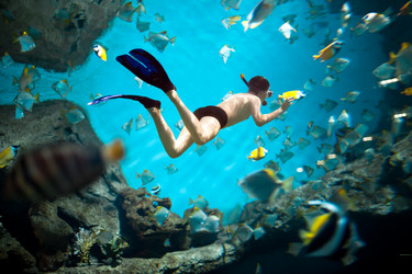 Similar image 1326575