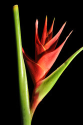 Similar image 1326587