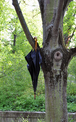 Similar image 1326595