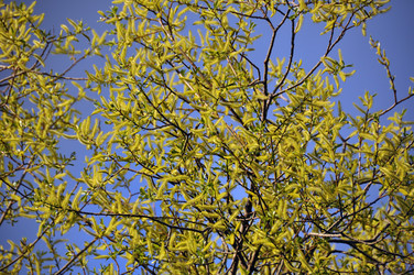 Similar image 1326604