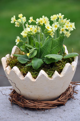 Similar image 1326657