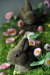 Similar image 1326662