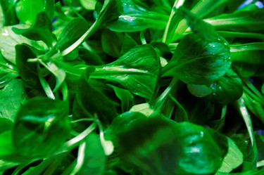 Similar image 1326682