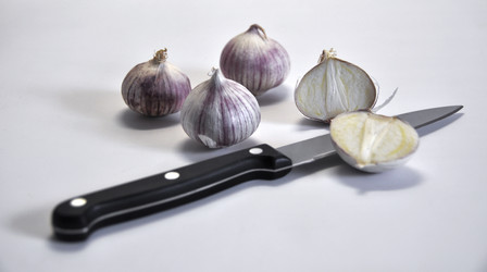 Similar image 1326684