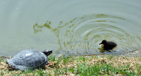 Similar image 1326695