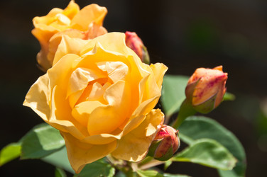 Similar image 1326730