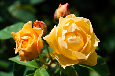 Similar image 1326733