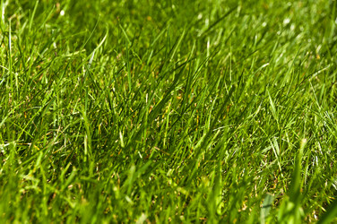 Similar image 1326734