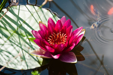 Similar image 1326736